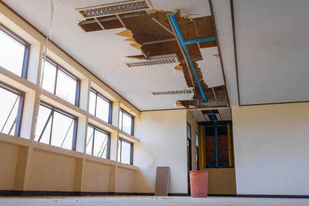 Best Professional water damage repair  in Moodys, OK